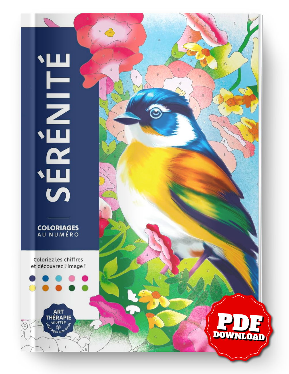 Serenity – Color by Number Book | 50 Relaxing Pages | Printable & iPad-Friendly