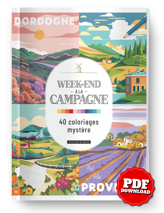 Mystery Coloring Book – French Countryside Landscapes PDF | 40 Color by Number Pages | Digital Download