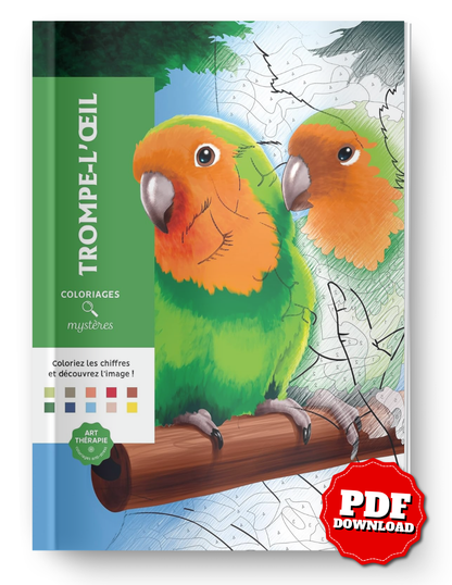 Trompe l'Oeil Mystery Color By Number Book | Hidden Optical Illusion Coloring Book | Printable PDF Coloring Pages for Adults & Teens
