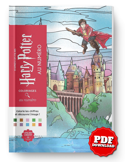 Harry Potter Mystery Color by Number | Wizarding World Coloring Book | Printable PDF | Magical Mystery Coloring Pages | Instant Download