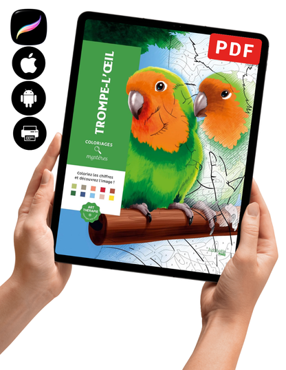 Trompe l'Oeil Mystery Color By Number Book | Hidden Optical Illusion Coloring Book | Printable PDF Coloring Pages for Adults & Teens