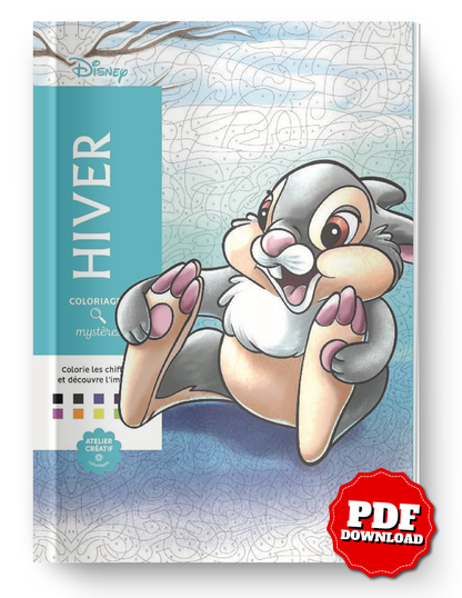 Disney Mystery Coloring Book – Winter Edition | Printable PDF Download