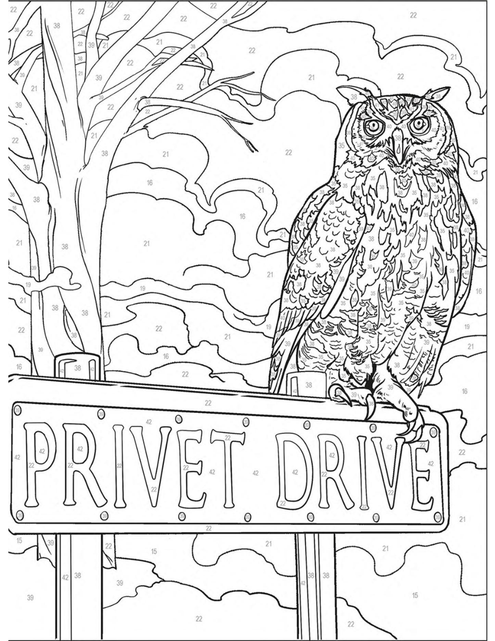 Harry Potter Mystery Color by Number | Wizarding World Coloring Book | Printable PDF | Magical Mystery Coloring Pages | Instant Download