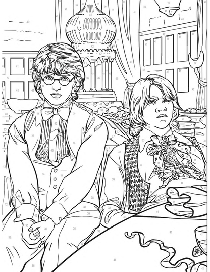 Harry Potter Mystery Color by Number | Wizarding World Coloring Book | Printable PDF | Magical Mystery Coloring Pages | Instant Download
