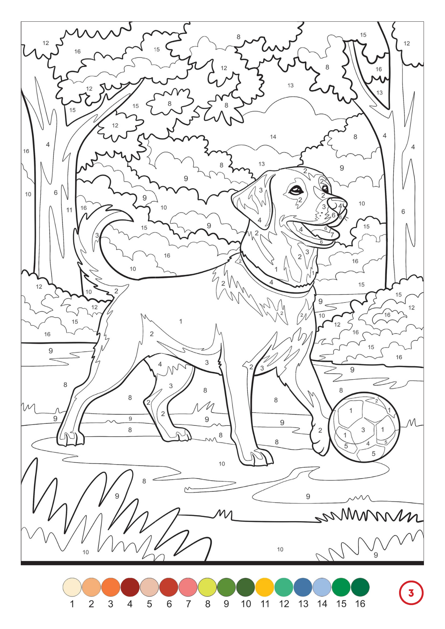 Cute Dogs Color by Number | 100 Adorable Puppy Coloring Pages | Printable PDF | Instant Digital Download | Premium Coloring Book