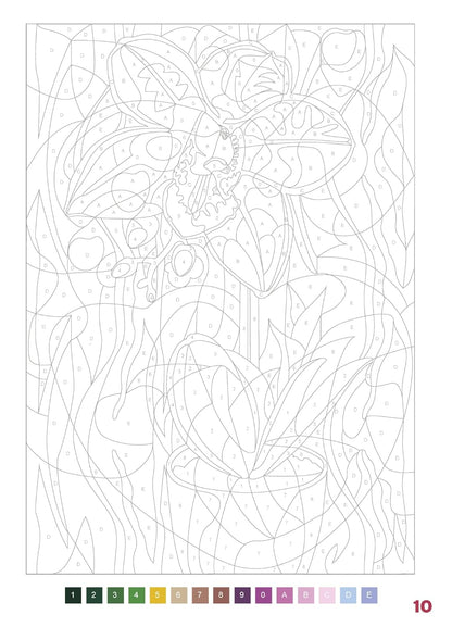 Mystery Coloring – Flowers | Color by Number Reveal