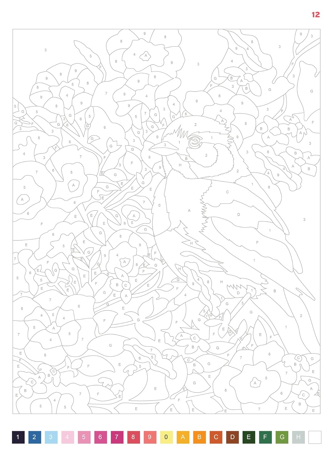 Serenity – Color by Number Book | 50 Relaxing Pages | Printable & iPad-Friendly