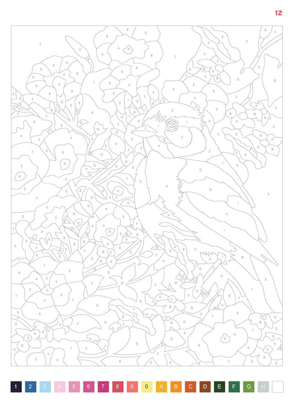 Serenity – Color by Number Book | 50 Relaxing Pages | Printable & iPad-Friendly