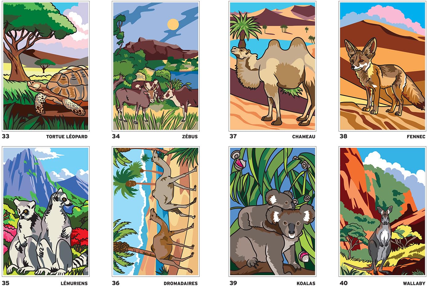 Safari Mystery Color By Number Book | Hidden Picture Animal Coloring Book | Printable PDF Coloring Pages for Adults & Teens