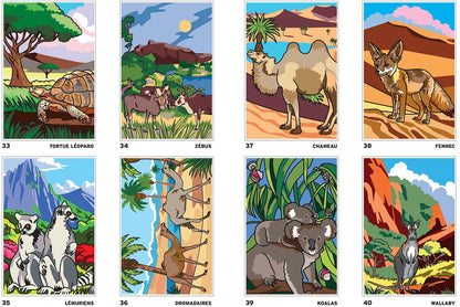 Safari Mystery Color By Number Book | Hidden Picture Animal Coloring Book | Printable PDF Coloring Pages for Adults & Teens