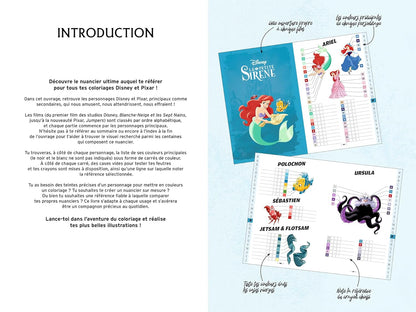 Disney Mystery Coloring Companion Book – Character Color Palette Guide | Printable PDF Download