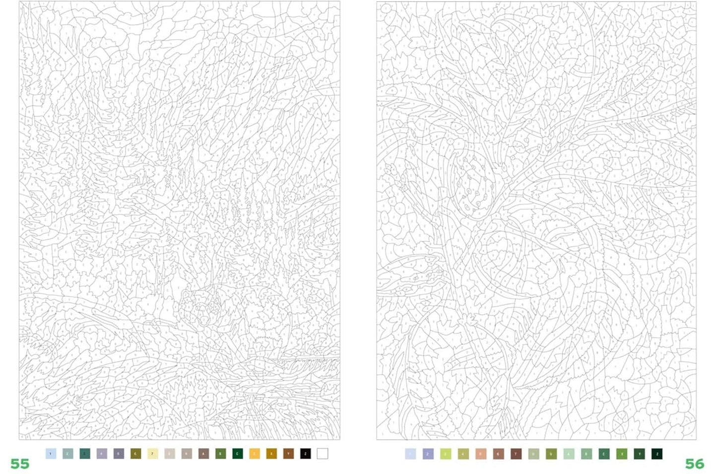 Mystery Color-by-Number – Trees of the World Coloring Book (PDF)