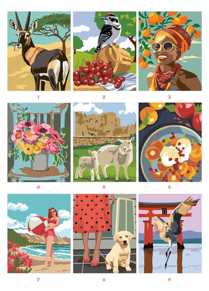 Serenity – Color by Number Book | 50 Relaxing Pages | Printable & iPad-Friendly