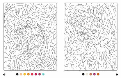 Disney Magic Color-by-Number – Classic Characters Mystery Coloring Book (PDF)