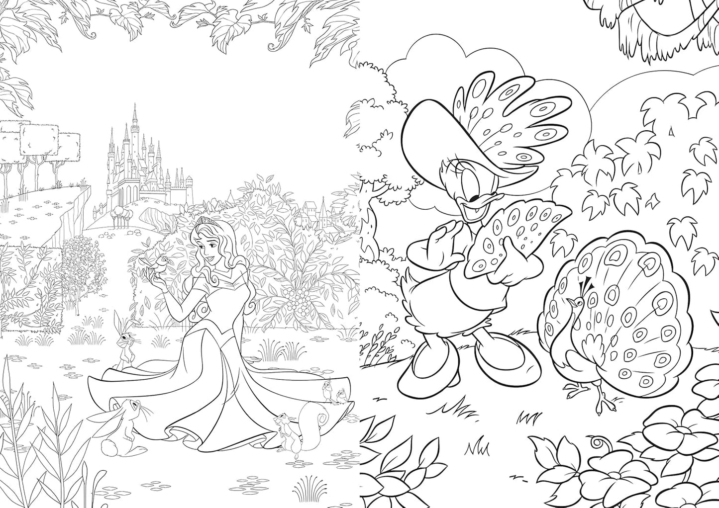 Disney – Nature: Art Therapy Coloring Book (100 Illustrations, PDF)