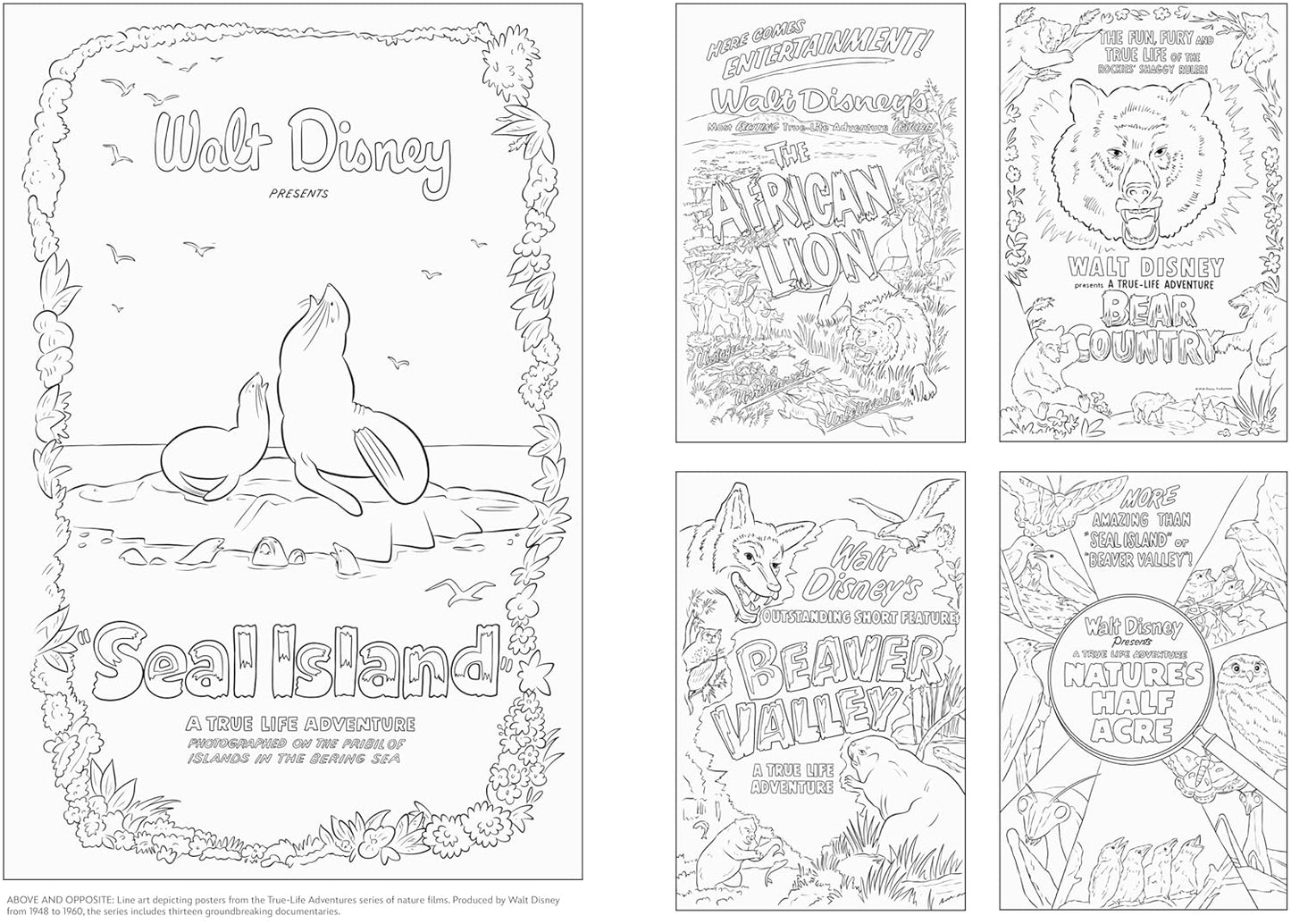 Fantasy Adventure Coloring Book PDF | Enchanted Kingdom, Magical Characters, Printable Coloring Pages