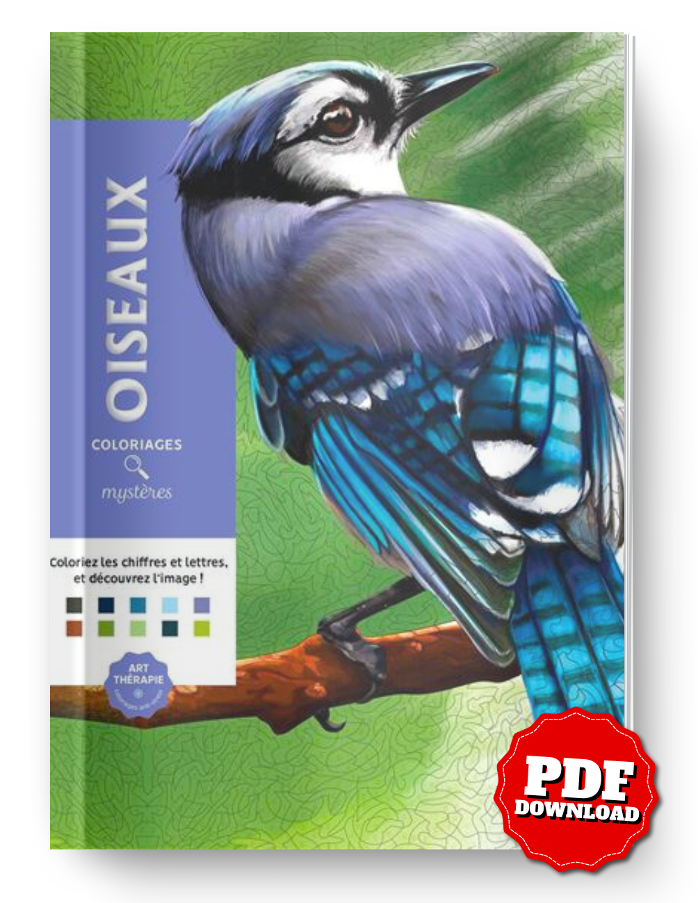 Mystery Coloring – Birds | Color by Number & Letter Reveal